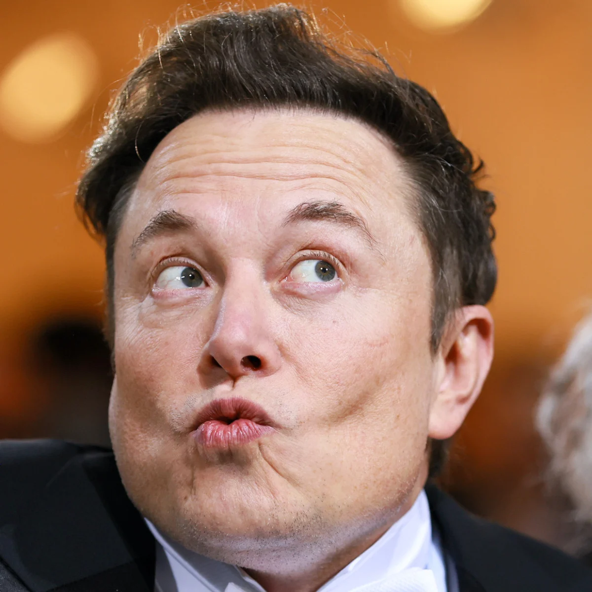 Picture of Elon Musk pursing his lips